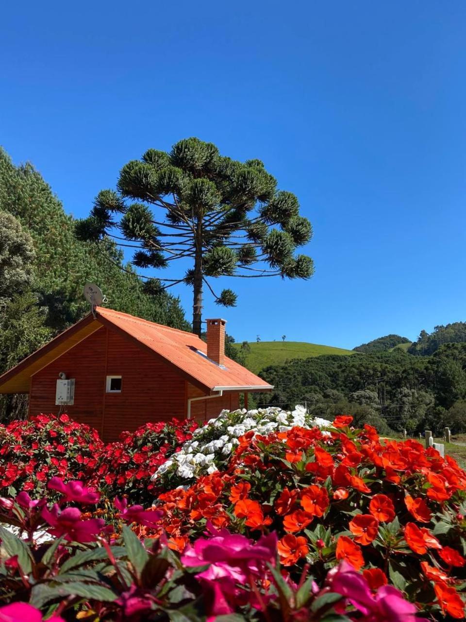 Chales Canto Da Serra Monte Verde  Dış mekan fotoğraf